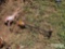5' HORSE WEATHER VANE