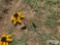 3' METAL SUNFLOWER YARD ART
