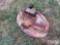 2 FORD FINDERS FOR TRACTOR