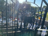 16' HEAVY DUTY DEER/MTN GATE
