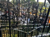 16' HEAVY DUTY 3 HORSE HEAD GATES