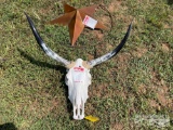 BULL HEAD