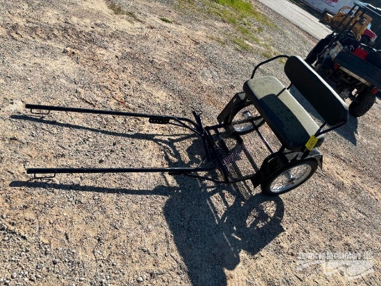 TWO PERSON PONY COACH