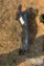 MINI EX RIPPER BLADE
