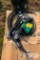 MISC HYD HOSES AND FITTINGS FOR MINI EX