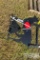 DEER SHOOTING TARGET