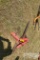 HAY SPEAR