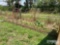 24' HAY CONVEYOR