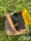 BOX 8 D RING TIE DOWN
