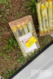 45MM X 330MM UNIVERSAL PIN FOR MINI EXCAVATOR