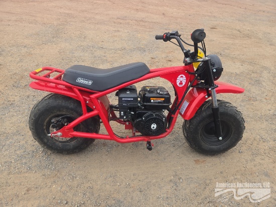 COLEMAN MINI BIKE