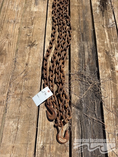 Approx. 20 Chain w/ 2 Hooks