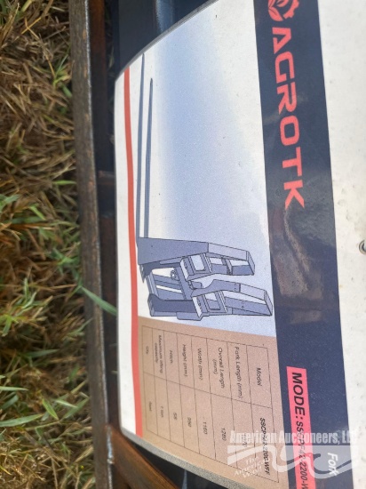 AGROTKSSCPF42-2200-WFF QUICK ATTACH 42" WALK THROUGH PALLET FORKS MAST