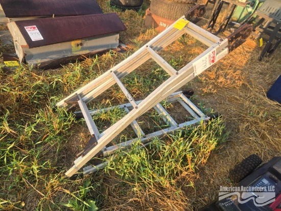 Folding Ladder