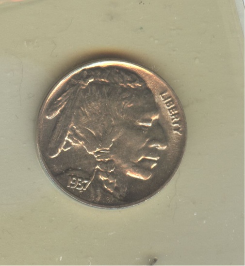 1937-D BUFFALO NICKEL