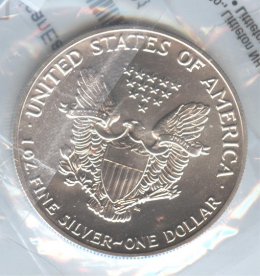 1989 UNCIRCULATED SILVER EAGLE