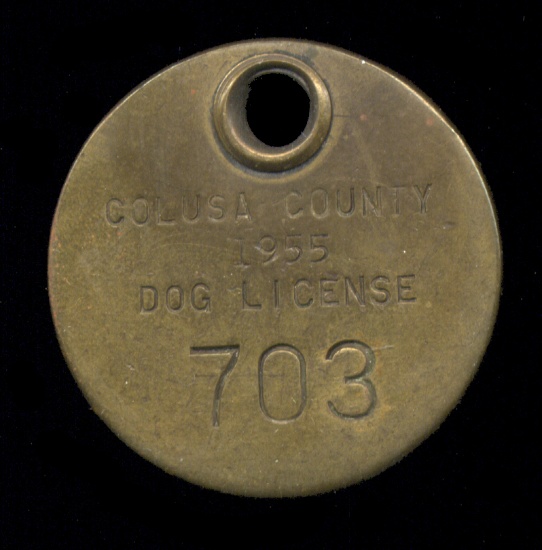 Colusa, CAL ... 1955 Dog Tag