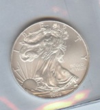 2009 AMERICAN SILVER EAGLE