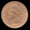 1894 ... Indian Head Penny / Cent