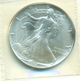 1991 SILVER EAGLE