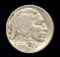 1919 ... Buffalo / Indian Nickel