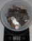 3 Pounds of World Foreign Coins