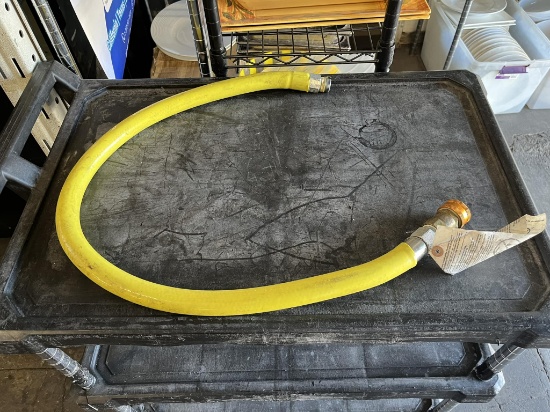 Quick 48" Disconnect Gas Hose