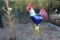 LARGE RED, WHITE & BLUE ROOSTER . ~