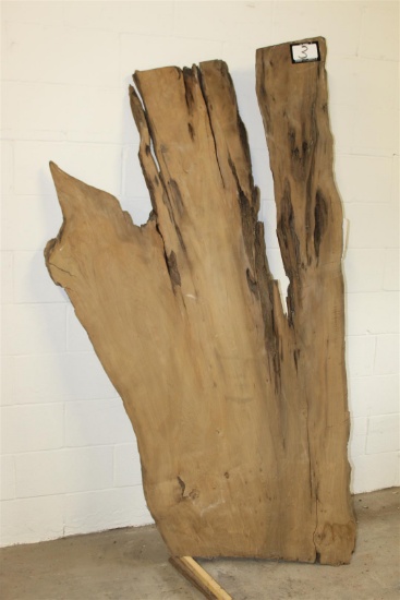 One Locally salvaged Live Edge Asymmetrical Sinker Cypress Slab;  approx. 2" thick x 4' wide x 80" t