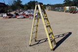 Green Bull 6' Ladder