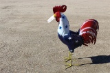 .  Metal Patriot Rooster .