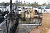 W/POSTS POWDER COATED  16' UNUSED FLEUR DE LIS METAL GATES W/POSTS POWDER COATED