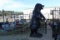 Life Size Black Bear Statue . ~