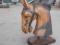 TEAK WOOD HORSE HEAD