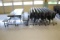 (10) Folding Cafeteria Tables