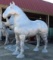 LARGE STEEL CLYDESDALE HORSE STATUE