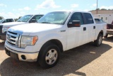 2010 FORD F150 XLT