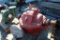 Bayou City Pump Works 679 Aurora Pump- 5x6x15