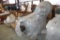 GE Shunt #2 w/ Reliance Electric Motor - SN: 7479191