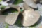 50x50 Right Handed Propeller