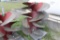 Lot of (4) 45x45 - (2) Left hand & (2) Right Hand Propellers