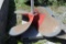 62x52 Right Hand Propeller - 6