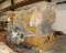 Caterpillar 3516 Crankshift 4P-2616 Rebuilt Engine