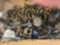 Lot of Misc Bolts & Brass Fittings