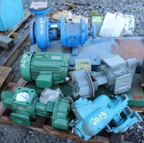 Misc Lot of Pumps & Motors