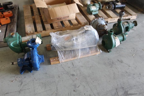 (6) Pumps