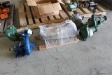 (6) Pumps