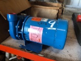 Lot of (2) Freshwater Pumps (Unused)