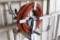 HOSE REEL W/HOSE (BUYER RESPONSIBLE FOR REMOVAL/LOAD OUT)