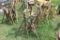 LOT OF (4) PIPE STANDS,